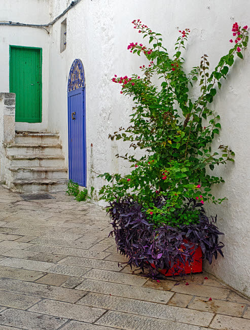 Ostuni Colorful Doors and Potted Plants Fine Art Print by Julie Eggers