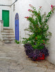 Ostuni Colorful Doors and Potted Plants Fine Art Print by Julie Eggers