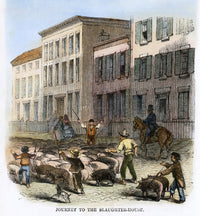 Cincinnati Hog Herding Wood Engraving Fine Art Print - 1860