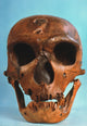 Neanderthal Skull Fine Art Print - Frontal View from La Chapelle-Aux-Saints