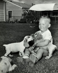 Boy Playing with Three Puppies Fine Art Print