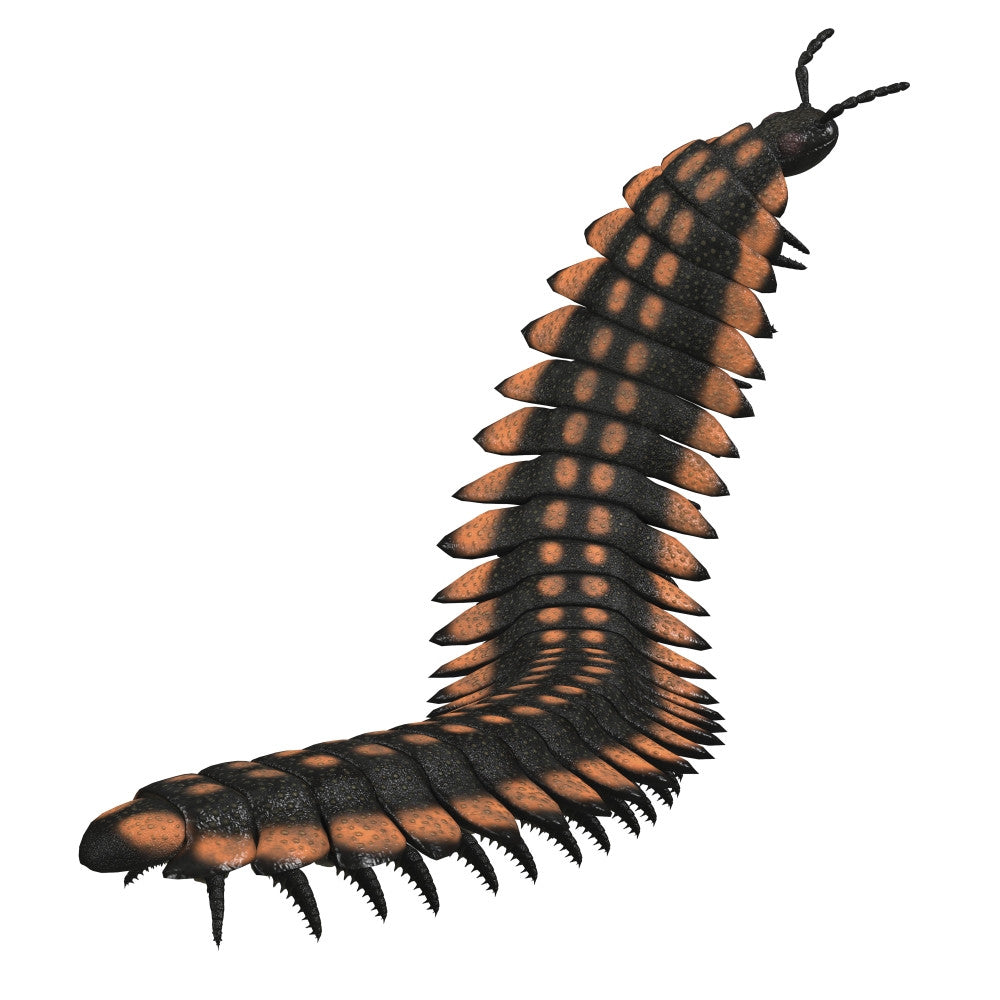 Arthropleura Invertebrate Fine Art Print by Corey Ford