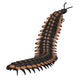 Arthropleura Invertebrate Fine Art Print by Corey Ford