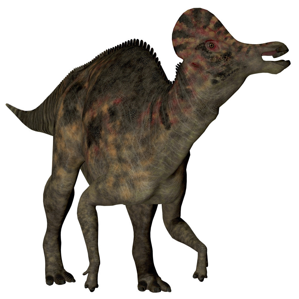 Corythosaurus Duck-Billed Dinosaur Fine Art Print