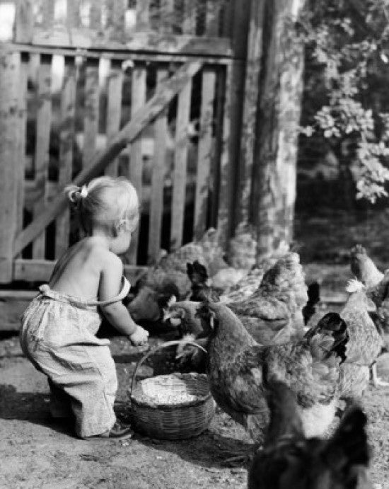 Side Profile of a Girl Feeding Chickens Fine Art Print