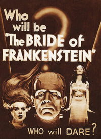 The Bride Of Frankenstein Movie Poster Fine Art Print