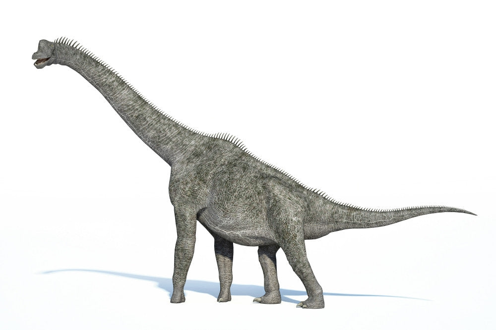 3D Rendering of Brachiosaurus Dinosaur Fine Art Print