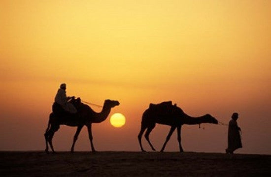 Caravan, Morocco Photo Print by Panoramic Images - 19x12