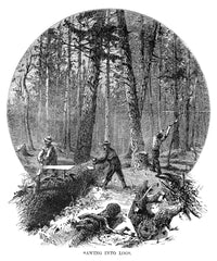 Minnesota Logging Scene Fine Art Print - 1870 Wood Engraving by Granger Collection
