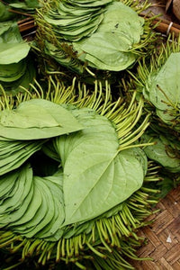Betel Leaves Art Print by Jay Sturdevant - 8x10 Photo