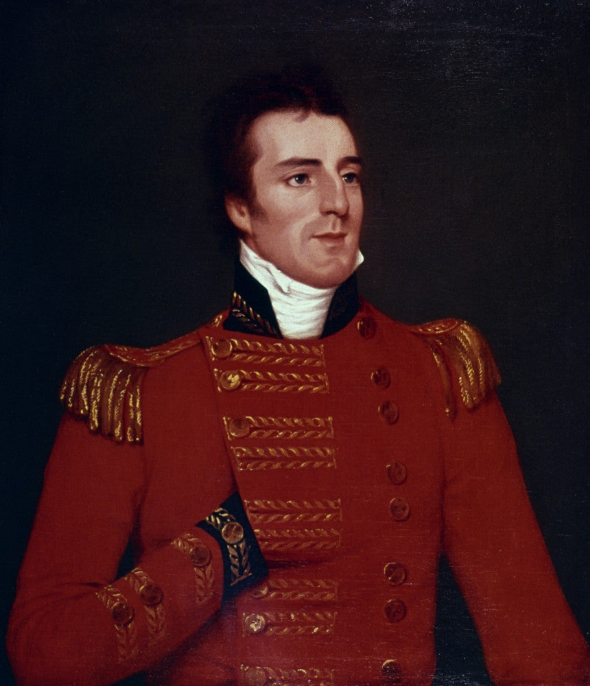 Duke of Wellington Fine Art Print by Robert Home - 1804