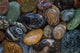 Seabeck Wet Beach Stones Fine Art Print by Jaynes Gallery