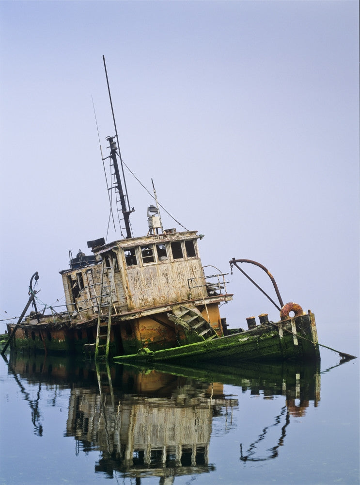 A Derelict Boat at Gold Beach Fine Art Print by Robert L. Potts