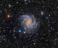 NGC 6946 Fireworks Galaxy Fine Art Print by Michael Miller