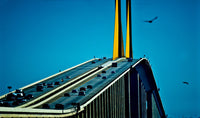 Sunshine Skyway Bridge Poster Print - Tampa Bay, Florida