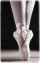Ballet Slippers Fine Art Print - Elegant Decor for Home or Office