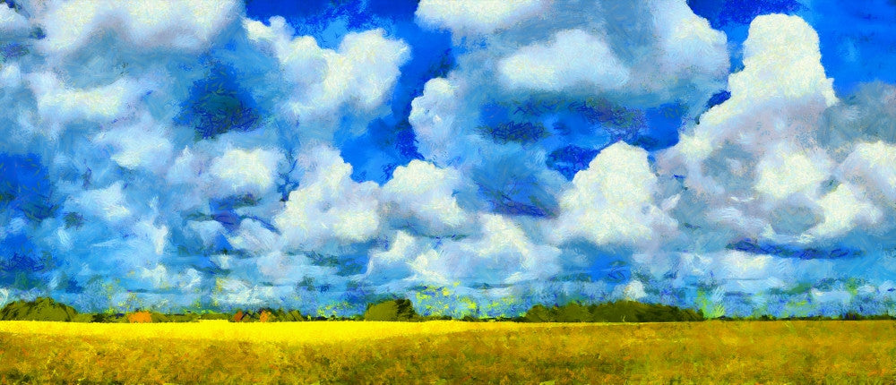 Canola Field Digital Painting Fine Art Print by 770 Productions