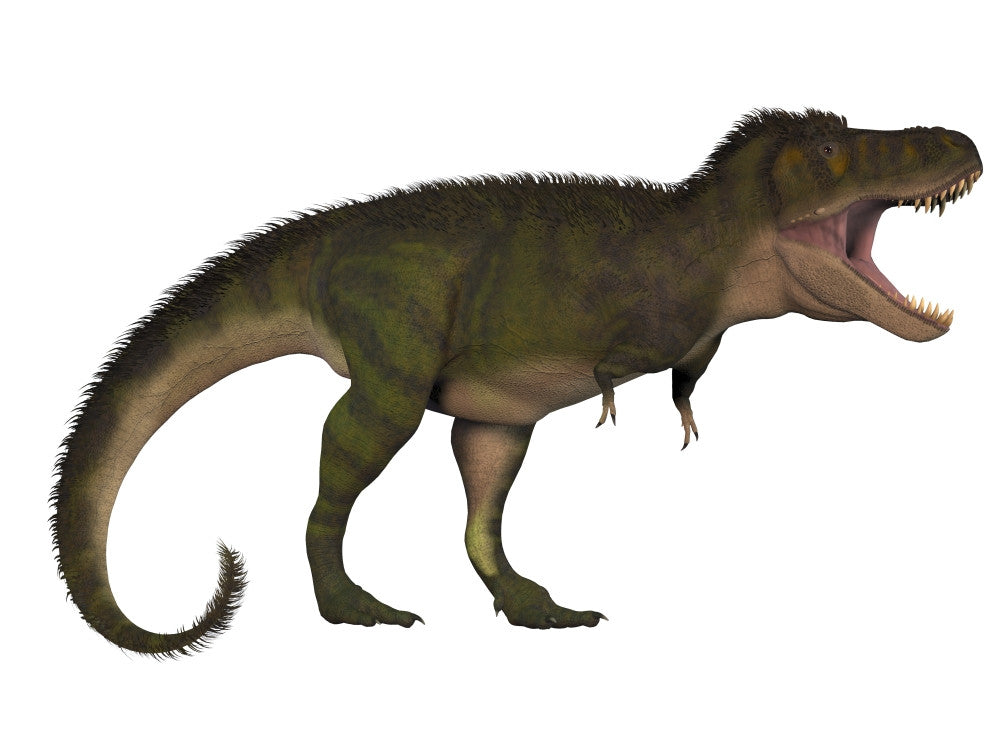 Tyrannosaurus Rex Cretaceous Period Fine Art Print