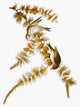 Audubon: Pine Siskin Fine Art Print from 'The Birds of America'