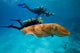 Divers on Underwater Scooters with Cuttlefish Fine Art Print by VWPics