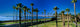 Palm Trees by the Beach Fine Art Print - Santa Barbara, California