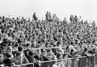 Spectators at the Stadium Fine Art Print - Multiple Sizes
