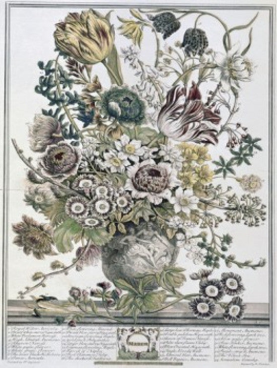 March 1730 Lithograph Fine Art Print by H. Fletcher