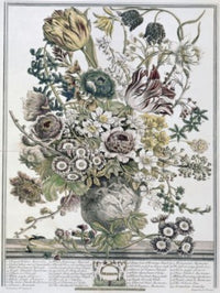 March 1730 Lithograph Fine Art Print by H. Fletcher