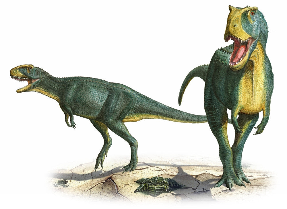 Rugops Primus Prehistoric Dinosaur Fine Art Print