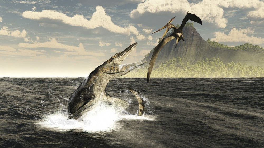 Tylosaurus Attacking Pteranodon Fine Art Print - Mid-Cretaceous