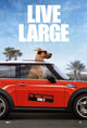 Marmaduke Movie Poster Print - 27x40 | Posterazzi