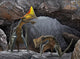 Tapejara wellnhoferi Pterosaurs Seeking Shelter Poster Print