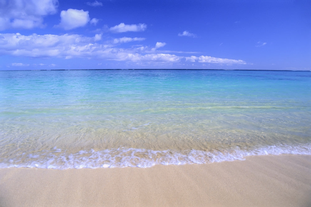 View Clear Shoreline Ocean Water Fine Art Print by Bill Brennan