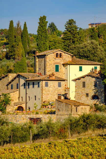 Italy, Florence Winery Villa Fine Art Print by George Theodore