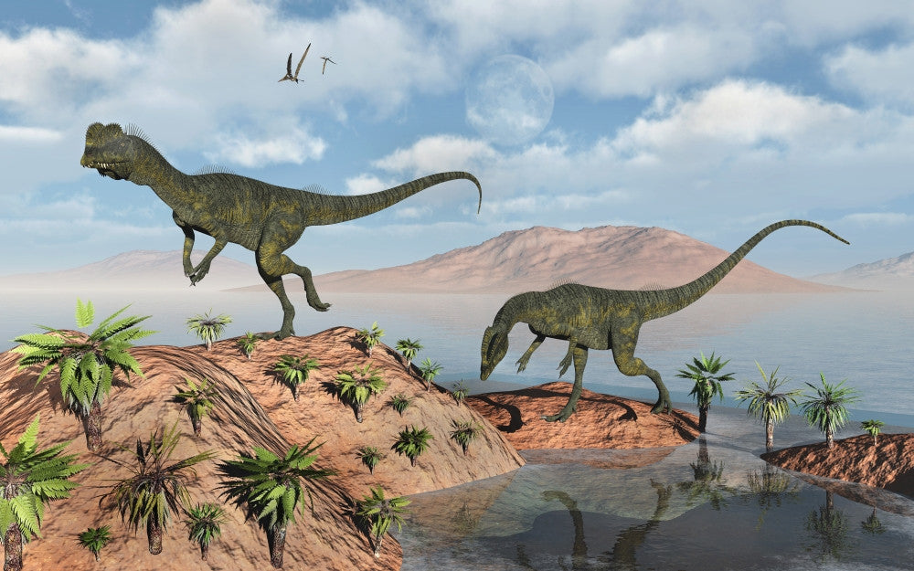 Dilophosaurus Dinosaurs Fine Art Print by Mark Stevenson