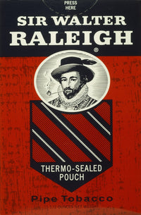 Sir Walter Raleigh Fine Art Print - English Adventurer | Posterazzi