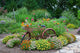 Charming Garden Scene with Bicycle and Zinnias Poster Print