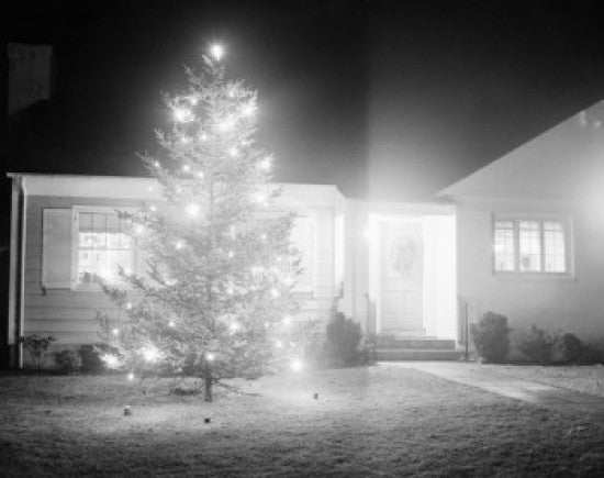Illuminated Christmas Tree Fine Art Print for Home Décor
