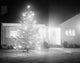 Illuminated Christmas Tree Fine Art Print for Home Décor