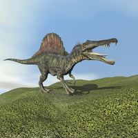 Spinosaurus Dinosaur Walking on Grass Fine Art Print