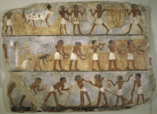 Scenes of Agricultural Work Egyptian Art Fine Art Print - Louvre Paris