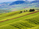 Italy, Sicily, Trapani Alcamo Countryside Fine Art Print by Terry Eggers