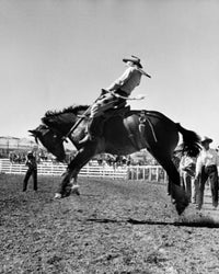Cowboy Riding a Bucking Horse in a Rodeo Fine Art Print