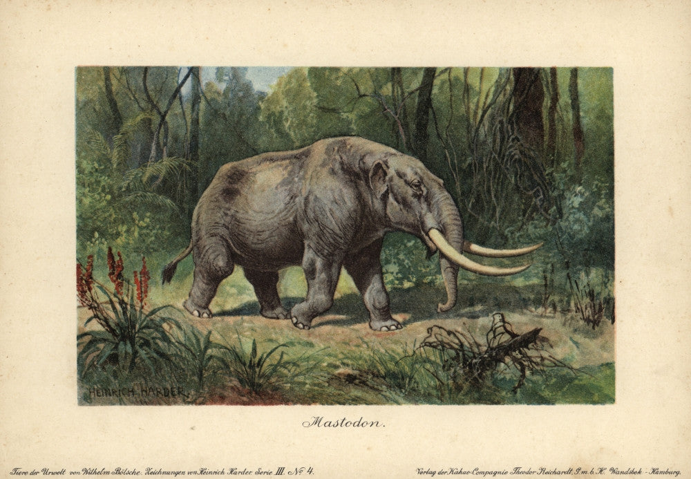 Mastodon Fine Art Print by Florilegius | Posterazzi