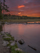 USA, Minnesota, Itasca State Park Fine Art Print by Peter Hawkins