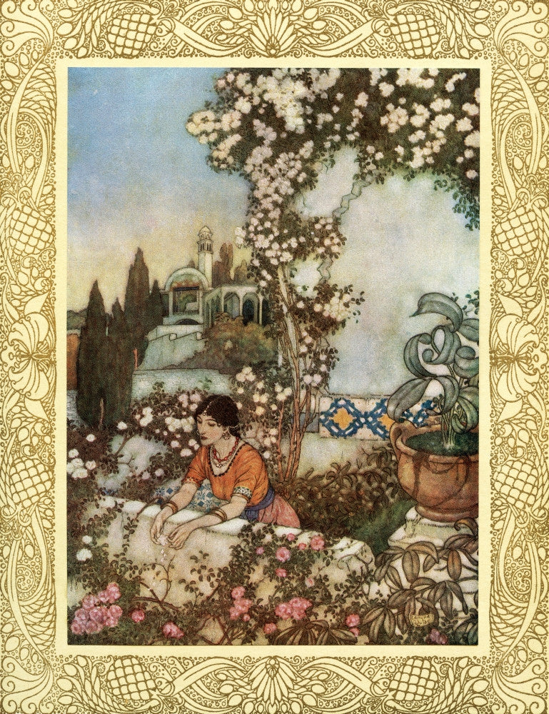 Lo, Laughing - Rose Illustration by Edmund Dulac from Rubaiyat