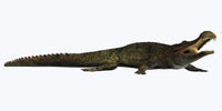 Sarcosuchus Crocodyliform Fine Art Print - Prehistoric Predator