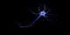 Conceptual Neuron Fine Art Print - Perfect for Home or Office