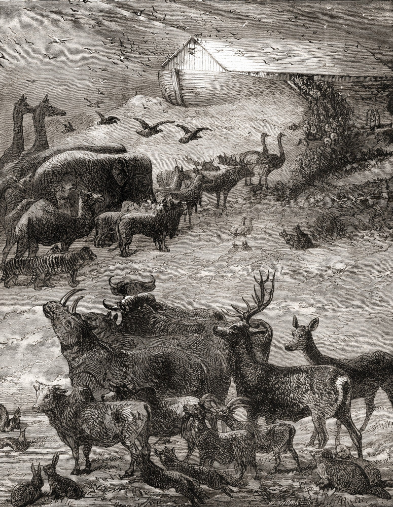 The Animals Entering Noah's Ark Fine Art Print by Ken Welsh