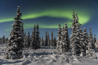 Green Aurora Borealis Fine Art Print by Kevin G. Smith